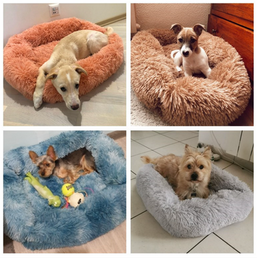 Dog Heaven™ Plush Bed